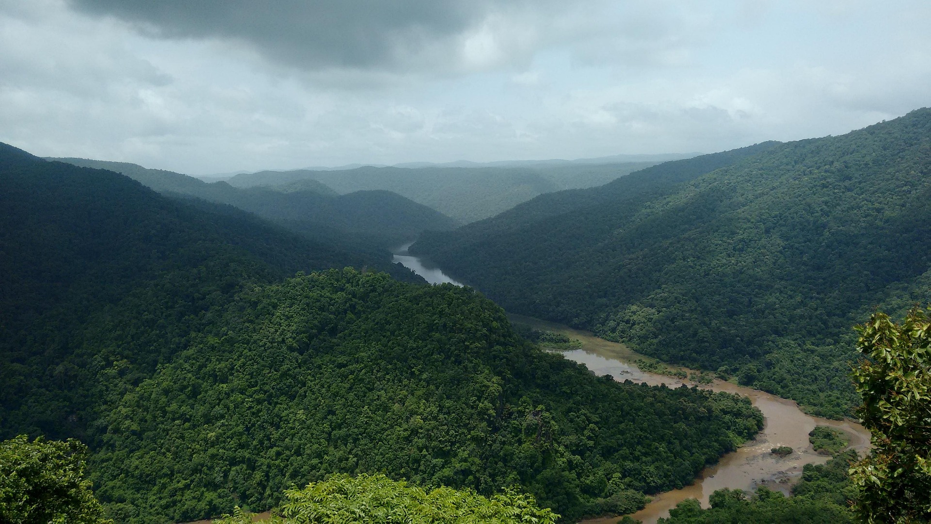 Dense Western Ghats forest surrounding the Kali River near Dandeli, Karnataka